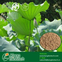 Hunan GMP Factory,lotus leaf extract(nuciferin),natural weight loss supplement