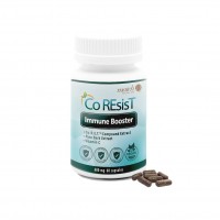 Increase Immunity Health Care Herbal Capsule